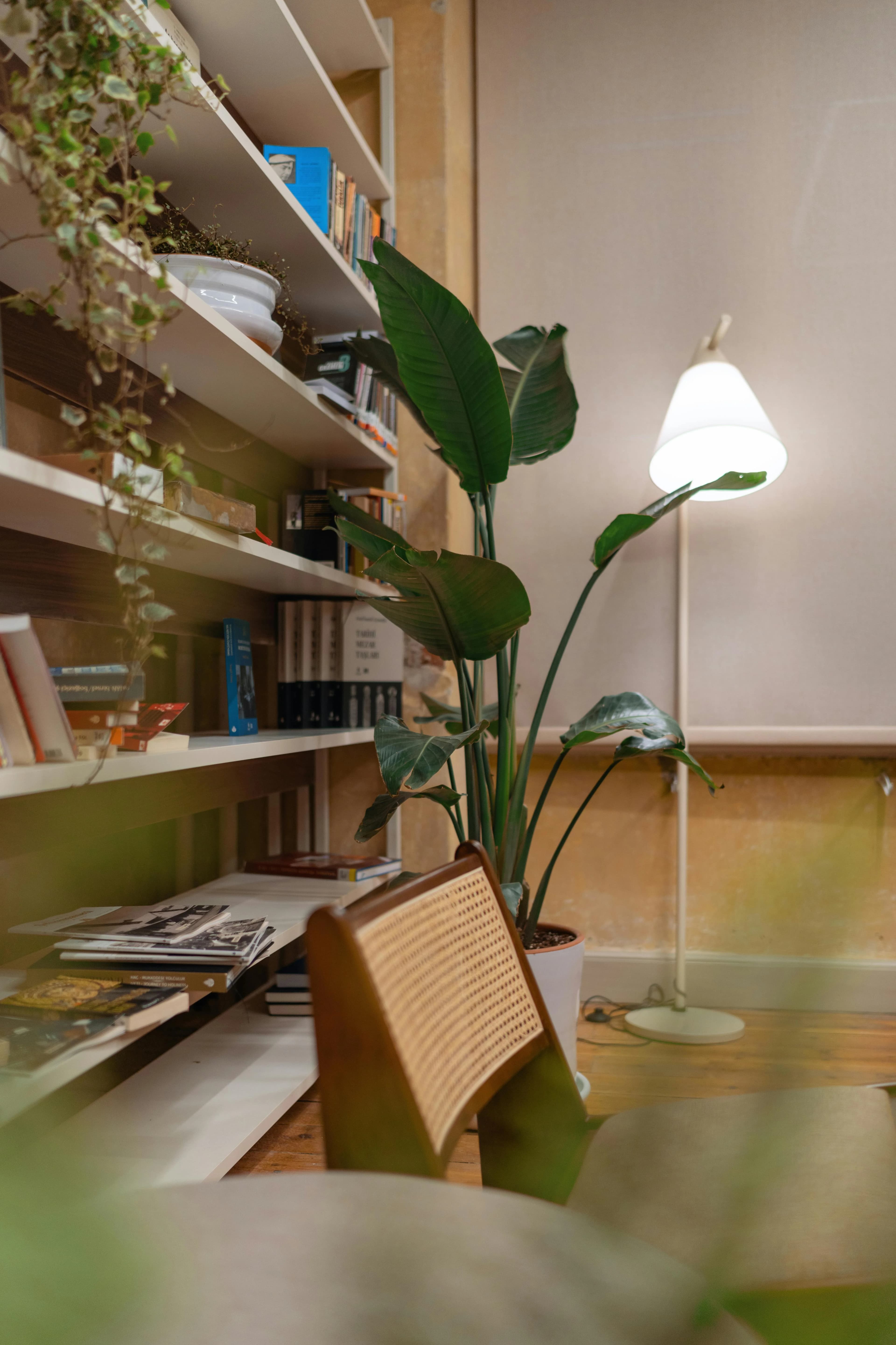 Bookshelves
